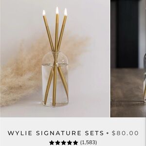 NWOT Everlasting steel candles with bottle of unopened pristine oil.